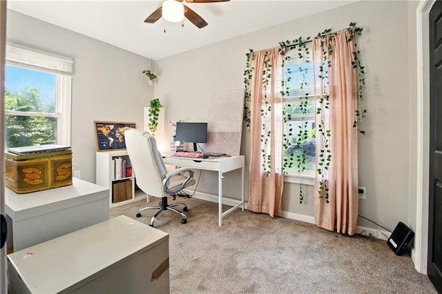 office featuring ceiling fan, carpet, and baseboards
