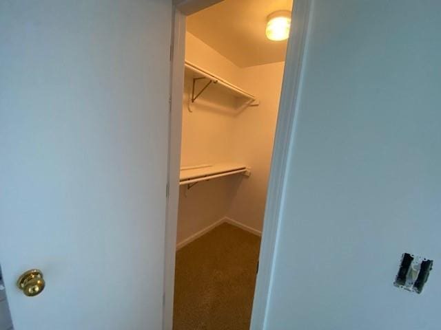 spacious closet with carpet floors