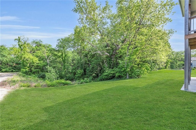 18235 NW 127th St, Platte City, MO 64079 - view of green lawn