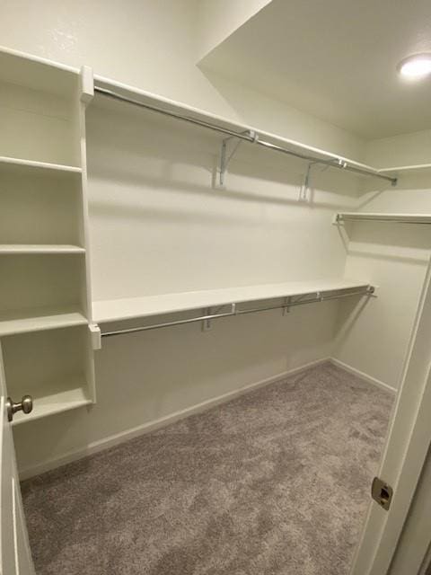10617 N Fisk Ave, Kansas City, MO 64154 - walk in closet with carpet