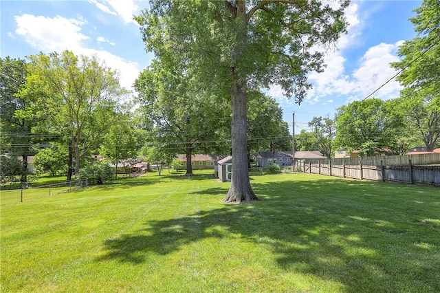 11205 E 49th St, Kansas City, MO 64133 - view of yard