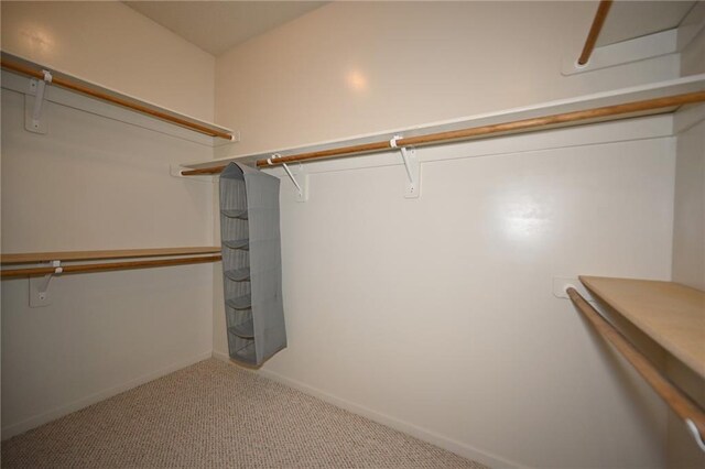 3112 NW 86th St, Kansas City, MO 64154 - spacious closet featuring carpet