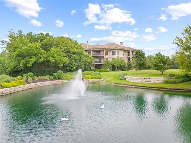 4801 W 133rd St Unit 204, Leawood, KS 66209 - water view