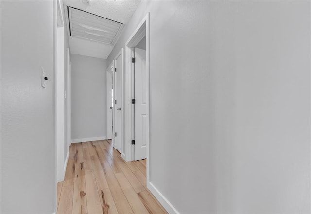 252 SE 23rd Hwy, Knob Noster, MO 65336 - corridor with light wood finished floors and baseboards