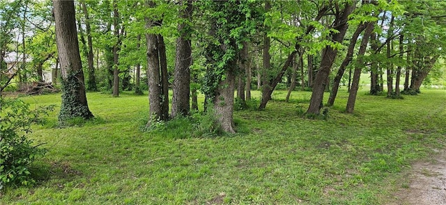 708 S Gay St, Holden, MO 64040 - view of undeveloped land