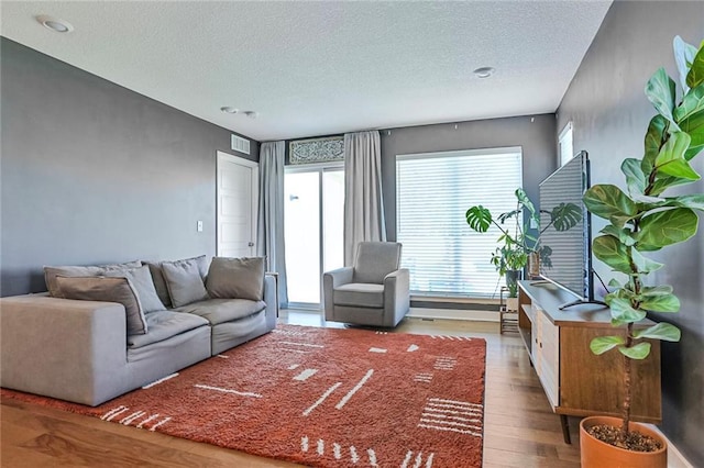 living area with wood finished floors and a textured ceiling