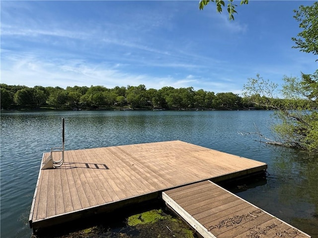 126 Timber Valley Dr, Linn Valley, KS 66040 - photo 9