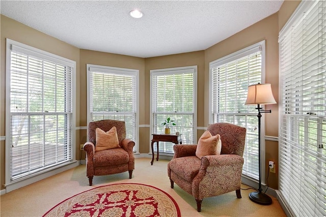 sitting room with carpet flooring, a textured ceiling, and baseboards