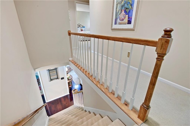 stairway featuring carpet floors and baseboards