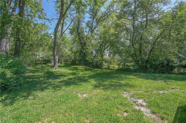 3118 Kimball Ave, Kansas City, KS 66104 - view of green lawn