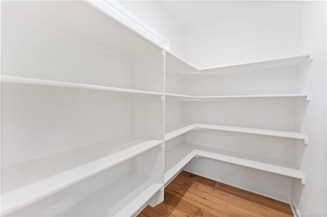 1925 SW Merryman Dr, Lees Summit, MO 64082 - view of pantry