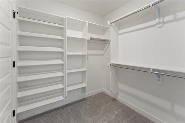 1925 SW Merryman Dr, Lees Summit, MO 64082 - spacious closet featuring dark carpet