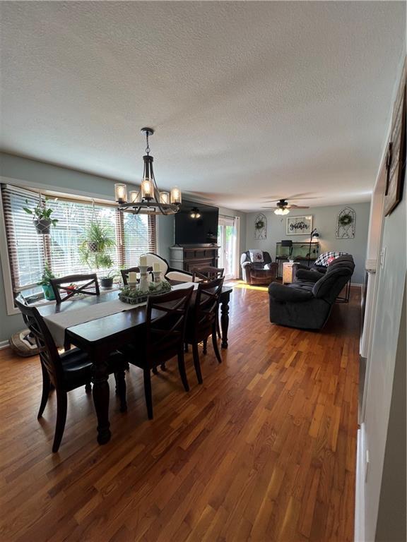 dining area featuring dark wood-style flooring, a textured ceiling, a chandelier, and ceiling fan
