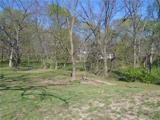 3020 N 81st St, Kansas City, KS 66109 - view of green lawn