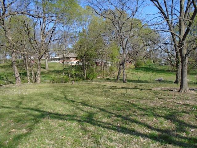 3020 N 81st St, Kansas City, KS 66109 - view of green lawn