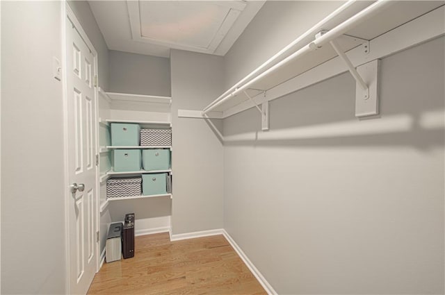 spacious closet featuring wood finished floors and attic access
