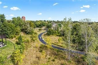 5318 W 159th Ter, Overland Park, KS 66085 - bird's eye view