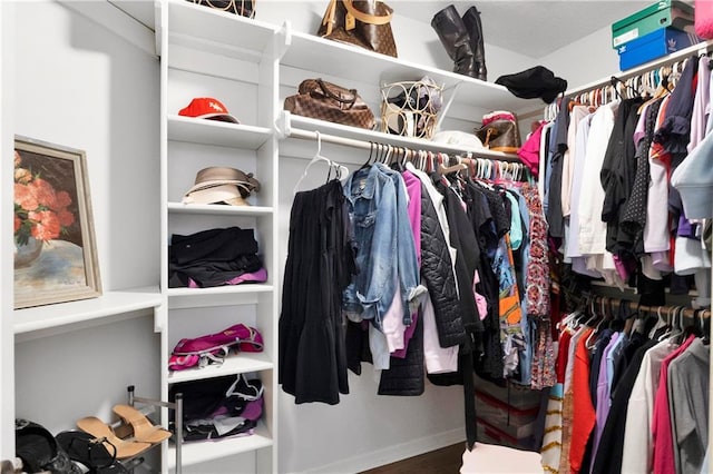 5318 W 159th Ter, Overland Park, KS 66085 - spacious closet with wood finished floors