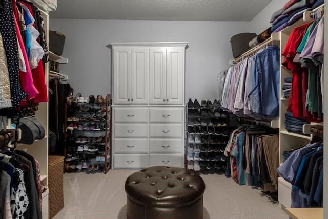 8127 Lone Elm Rd, Lenexa, KS 66220 - spacious closet with carpet
