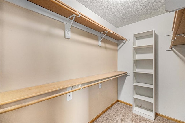 walk in closet featuring light carpet