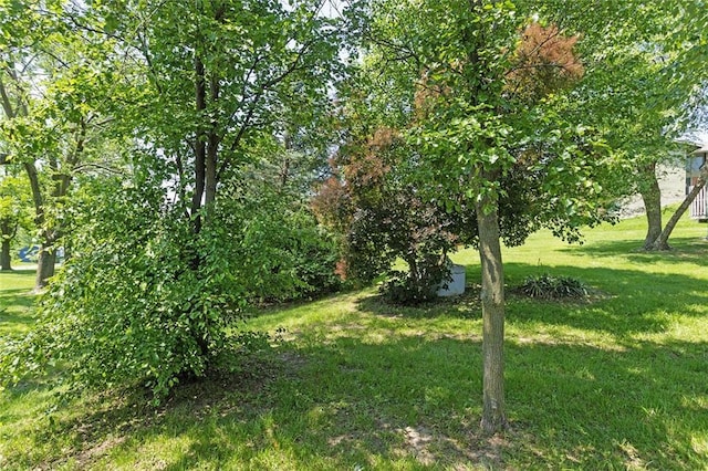 4010 Hedges Ave, Kansas City, MO 64133 - view of grassy yard