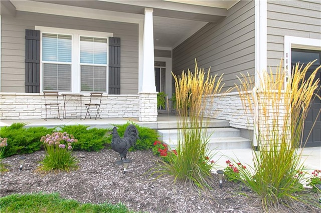 11410 Bluestem Dr, Kearney, MO 64060 - property entrance featuring a porch, stone siding, and a garage