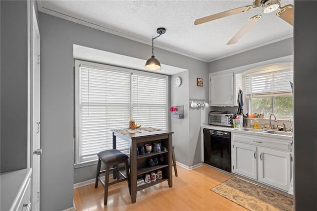 15328 W 81st St, Lenexa, KS 66219 - kitchen with dishwasher, a ceiling fan, a textured ceiling, ornamental molding, and a sink