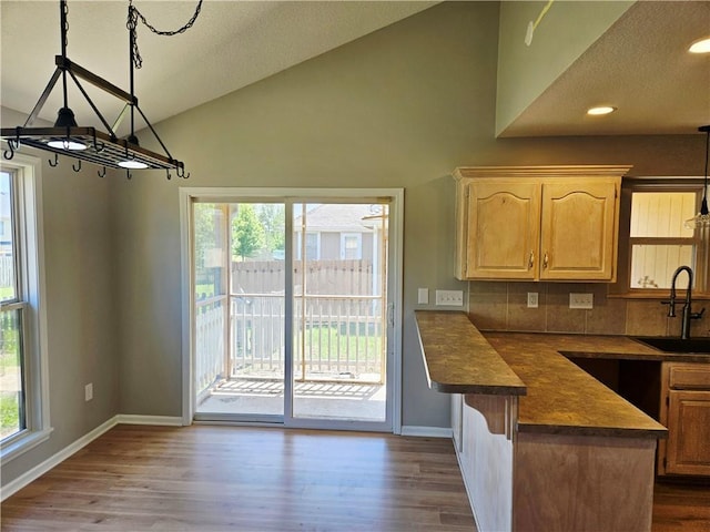 1309 Thomas Dr, Louisburg, KS 66053 - kitchen with dark countertops, baseboards, tasteful backsplash, wood finished floors, and a sink
