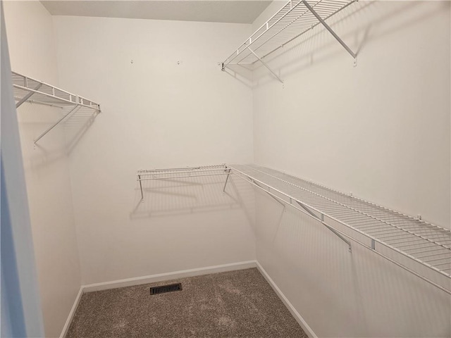 1309 Thomas Dr, Louisburg, KS 66053 - spacious closet with carpet flooring