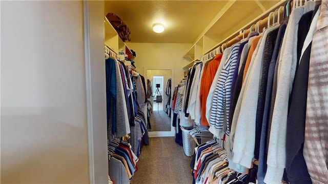 4301 N 141st St, Basehor, KS 66007 - walk in closet with carpet flooring