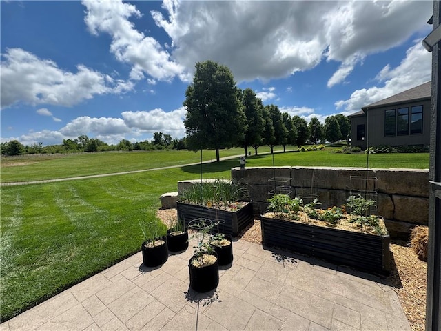 4301 N 141st St, Basehor, KS 66007 - view of patio featuring a vegetable garden