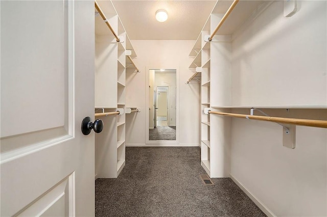 4301 N 141st St, Basehor, KS 66007 - spacious closet featuring dark colored carpet