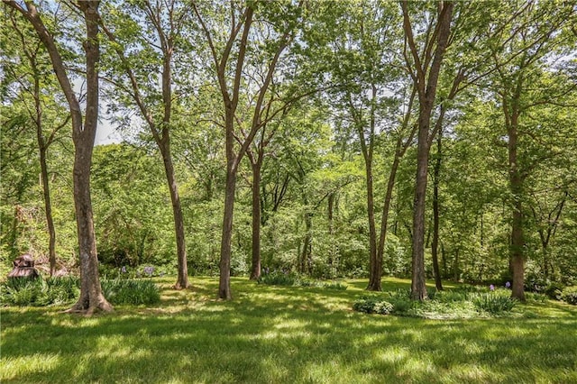 6503 NW Sioux Ct, Parkville, MO 64152 - view of grassy yard with a view of trees