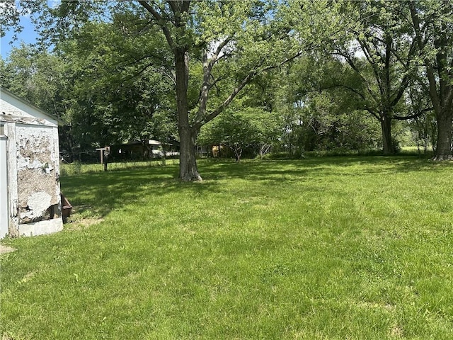 view of green lawn