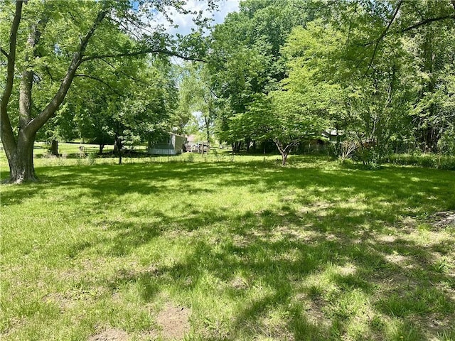 view of green lawn