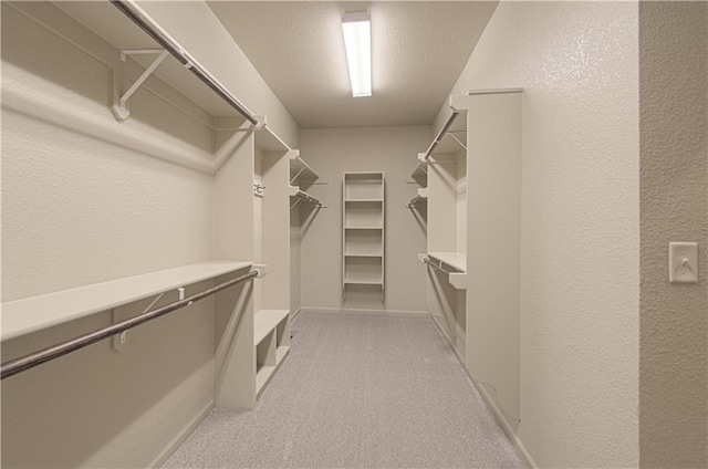 1110 Metfield Ln, Raymore, MO 64083 - spacious closet with light carpet
