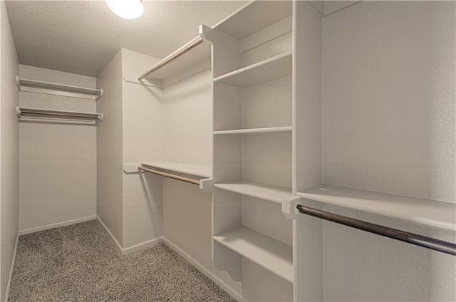 1110 Metfield Ln, Raymore, MO 64083 - spacious closet with light colored carpet