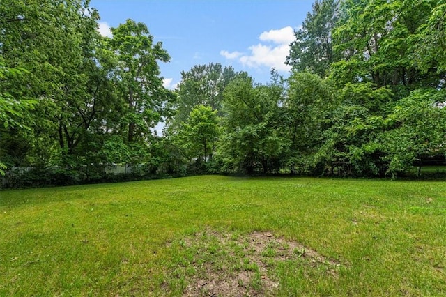 9021 E 79th St, Raytown, MO 64138 - view of green lawn