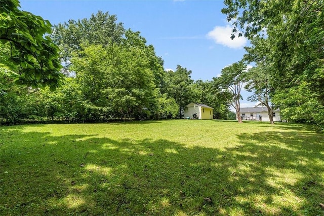 9021 E 79th St, Raytown, MO 64138 - view of green lawn