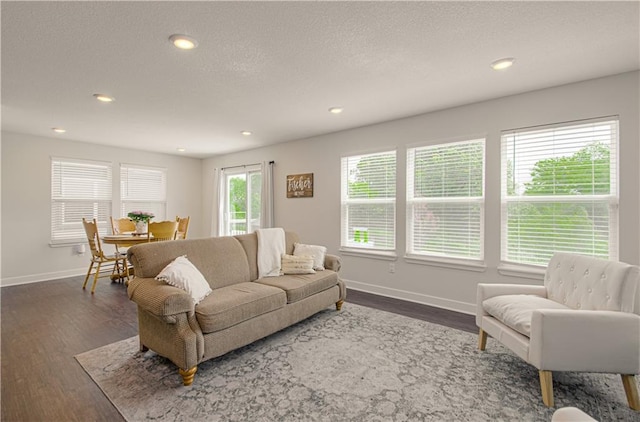 18061 W Hauser St, Overland Park, KS 66013 - living area featuring baseboards, dark wood-style flooring, and recessed lighting