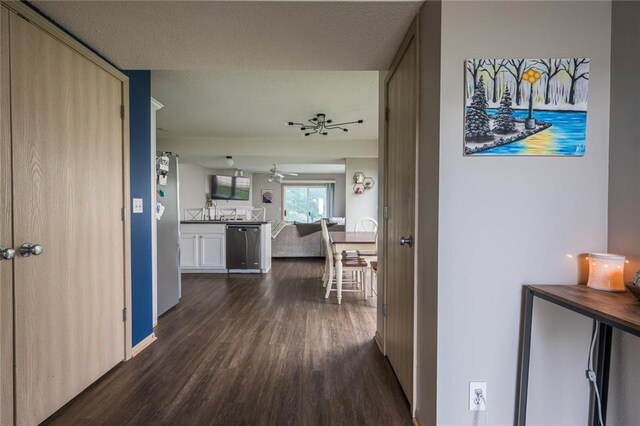 8008 NE Elmwood Ave, Kansas City, MO 64119 - hallway with dark wood-type flooring, a sink, and a textured ceiling