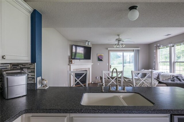 8008 NE Elmwood Ave, Kansas City, MO 64119 - kitchen featuring a sink, a fireplace, open floor plan, dark countertops, and a textured ceiling