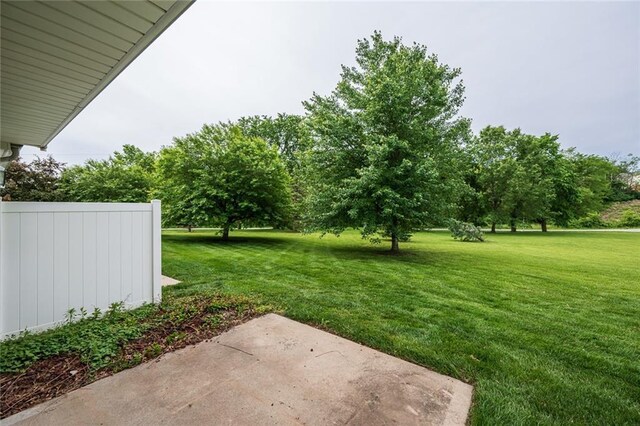 8008 NE Elmwood Ave, Kansas City, MO 64119 - view of green lawn featuring a patio