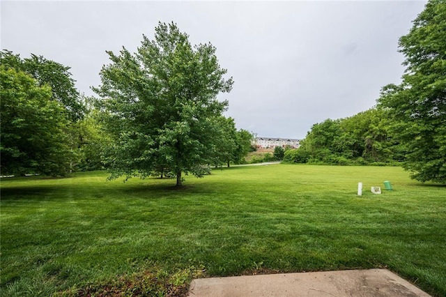 8008 NE Elmwood Ave, Kansas City, MO 64119 - view of green lawn
