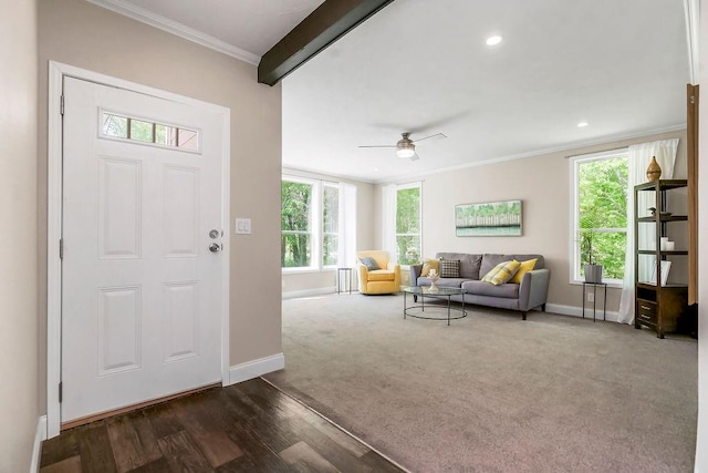 85 Birdie Ln, Mound City, KS 66056 - living area with baseboards, crown molding, plenty of natural light, a ceiling fan, and dark wood-type flooring