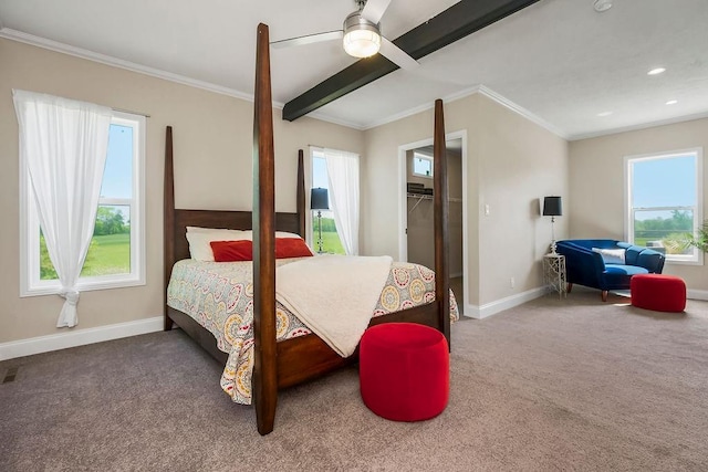 85 Birdie Ln, Mound City, KS 66056 - bedroom with baseboards, carpet flooring, multiple windows, crown molding, and a walk in closet