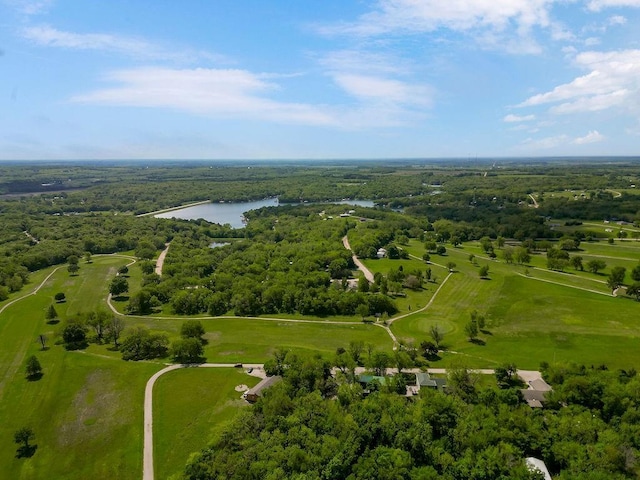85 Birdie Ln, Mound City, KS 66056 - bird's eye view of a large body of water and a forest