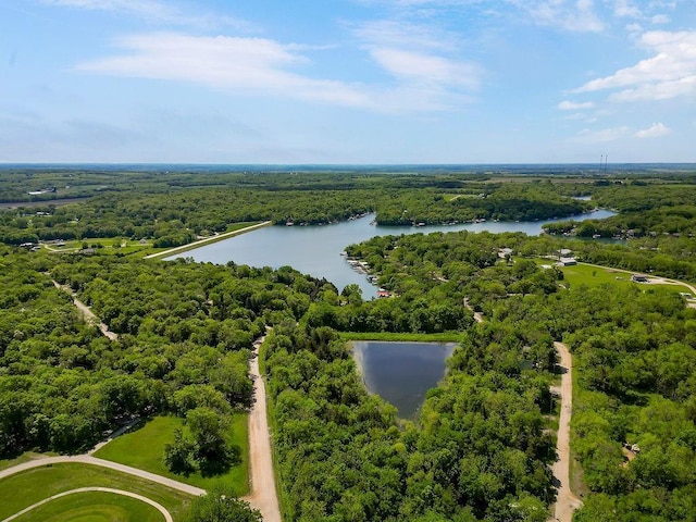 85 Birdie Ln, Mound City, KS 66056 - bird's eye view of a heavily wooded area and a nearby body of water
