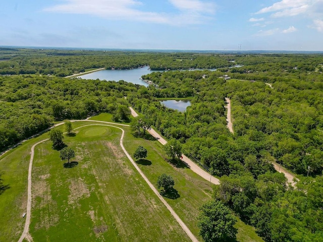 85 Birdie Ln, Mound City, KS 66056 - aerial view of property's location featuring a forest and a large body of water