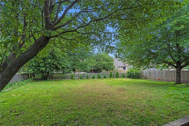 1221 NE Beacon Ave, Lees Summit, MO 64086 - photo 42